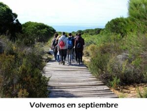 Cerrado en agosto.