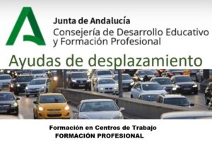 Ayudas desplazamiento FCT